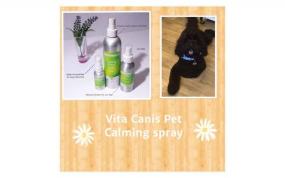 Vita Canis